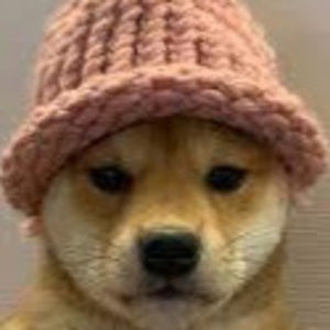 Meet your Posher, Shane